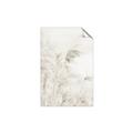 Picture of Neutral Bloom Reeds _GroupedProduct_Rectangle_Portrait_Photography _GroupedProduct_Rectangle_Portrait_Unframed_Print_Only_