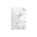 Picture of Neutral Bloom Reeds _GroupedProduct_Rectangle_Portrait_Photography _GroupedProduct_Rectangle_Portrait_Unframed_Print_Only_