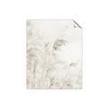 Picture of Neutral Bloom Reeds _GroupedProduct_Rectangle_Portrait_Photography _GroupedProduct_Rectangle_Portrait_Unframed_Print_Only_
