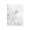 Picture of Neutral Bloom Reeds _GroupedProduct_Rectangle_Portrait_Photography _GroupedProduct_Rectangle_Portrait_Unframed_Print_Only_