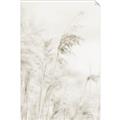 Picture of Neutral Bloom Reeds _GroupedProduct_Rectangle_Portrait_Photography _GroupedProduct_Rectangle_Portrait_Unframed_Print_Only_