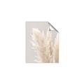 Picture of Creamy Petal Pampas I _GroupedProduct_Rectangle_Portrait_Photography _GroupedProduct_Rectangle_Portrait_Unframed_Print_Only_