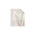 Picture of Creamy Petal Pampas I _GroupedProduct_Rectangle_Portrait_Photography _GroupedProduct_Rectangle_Portrait_Unframed_Print_Only_