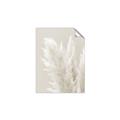 Picture of Creamy Petal Pampas I _GroupedProduct_Rectangle_Portrait_Photography _GroupedProduct_Rectangle_Portrait_Unframed_Print_Only_