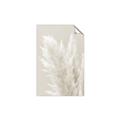 Picture of Creamy Petal Pampas I _GroupedProduct_Rectangle_Portrait_Photography _GroupedProduct_Rectangle_Portrait_Unframed_Print_Only_