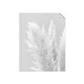 Picture of Creamy Petal Pampas I _GroupedProduct_Rectangle_Portrait_Photography _GroupedProduct_Rectangle_Portrait_Unframed_Print_Only_