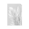 Picture of Creamy Petal Pampas I _GroupedProduct_Rectangle_Portrait_Photography _GroupedProduct_Rectangle_Portrait_Unframed_Print_Only_