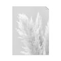 Picture of Creamy Petal Pampas I _GroupedProduct_Rectangle_Portrait_Photography _GroupedProduct_Rectangle_Portrait_Unframed_Print_Only_