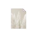 Picture of Creamy Petal Pampas II _GroupedProduct_Rectangle_Portrait_Photography _GroupedProduct_Rectangle_Portrait_Unframed_Print_Only_