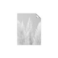 Picture of Creamy Petal Pampas II _GroupedProduct_Rectangle_Portrait_Photography _GroupedProduct_Rectangle_Portrait_Unframed_Print_Only_