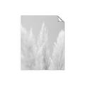 Picture of Creamy Petal Pampas II _GroupedProduct_Rectangle_Portrait_Photography _GroupedProduct_Rectangle_Portrait_Unframed_Print_Only_