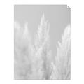 Picture of Creamy Petal Pampas II _GroupedProduct_Rectangle_Portrait_Photography _GroupedProduct_Rectangle_Portrait_Unframed_Print_Only_