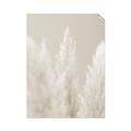 Picture of Creamy Petal Pampas II _GroupedProduct_Rectangle_Portrait_Photography _GroupedProduct_Rectangle_Portrait_Unframed_Print_Only_