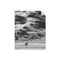 Picture of Tranquil Walk in the Valley _GroupedProduct_Rectangle_Portrait_Photography _GroupedProduct_Rectangle_Portrait_Unframed_Print_Only_