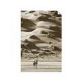 Picture of Tranquil Walk in the Valley _GroupedProduct_Rectangle_Portrait_Photography _GroupedProduct_Rectangle_Portrait_Unframed_Print_Only_
