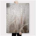 Picture of Elysian Grass _GroupedProduct_Rectangle_Portrait_Photography _GroupedProduct_Rectangle_Portrait_Canvas_