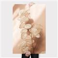 Picture of Celestial Summer Leaves _GroupedProduct_Rectangle_Portrait_Photography _GroupedProduct_Rectangle_Portrait_Canvas_