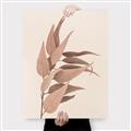Picture of Dried Eucalyptus Blossom _GroupedProduct_Rectangle_Portrait_Photography _GroupedProduct_Rectangle_Portrait_Canvas_