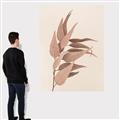 Picture of Dried Eucalyptus Blossom _GroupedProduct_Rectangle_Portrait_Photography _GroupedProduct_Rectangle_Portrait_Canvas_