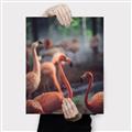 Picture of Flamingo _GroupedProduct_Rectangle_Portrait_Photography _GroupedProduct_Rectangle_Portrait_Canvas_