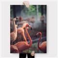 Picture of Flamingo _GroupedProduct_Rectangle_Portrait_Photography _GroupedProduct_Rectangle_Portrait_Canvas_