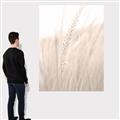 Picture of Rhapsody of Grass Blades _GroupedProduct_Rectangle_Portrait_Photography _GroupedProduct_Rectangle_Portrait_Canvas_