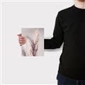 Picture of Enchanted Pampas Grass _GroupedProduct_Rectangle_Portrait_Photography _GroupedProduct_Rectangle_Portrait_Canvas_
