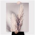 Picture of Enchanted Pampas Grass _GroupedProduct_Rectangle_Portrait_Photography _GroupedProduct_Rectangle_Portrait_Canvas_
