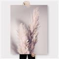 Picture of Enchanted Pampas Grass _GroupedProduct_Rectangle_Portrait_Photography _GroupedProduct_Rectangle_Portrait_Canvas_