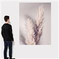 Picture of Enchanted Pampas Grass _GroupedProduct_Rectangle_Portrait_Photography _GroupedProduct_Rectangle_Portrait_Canvas_