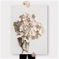 Picture of Lullaby of a Beige Flower _GroupedProduct_Rectangle_Portrait_Photography _GroupedProduct_Rectangle_Portrait_Canvas_