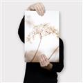 Picture of Desert Bloom Elegance _GroupedProduct_Rectangle_Portrait_Photography _GroupedProduct_Rectangle_Portrait_Canvas_