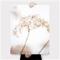 Picture of Desert Bloom Elegance _GroupedProduct_Rectangle_Portrait_Photography _GroupedProduct_Rectangle_Portrait_Canvas_