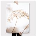 Picture of Desert Bloom Elegance _GroupedProduct_Rectangle_Portrait_Photography _GroupedProduct_Rectangle_Portrait_Canvas_