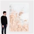 Picture of Neutral Bloom Reeds _GroupedProduct_Rectangle_Portrait_Photography _GroupedProduct_Rectangle_Portrait_Canvas_