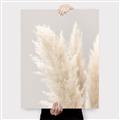 Picture of Creamy Petal Pampas I _GroupedProduct_Rectangle_Portrait_Photography _GroupedProduct_Rectangle_Portrait_Canvas_