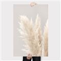 Picture of Creamy Petal Pampas I _GroupedProduct_Rectangle_Portrait_Photography _GroupedProduct_Rectangle_Portrait_Canvas_