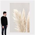Picture of Creamy Petal Pampas I _GroupedProduct_Rectangle_Portrait_Photography _GroupedProduct_Rectangle_Portrait_Canvas_