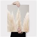 Picture of Creamy Petal Pampas II _GroupedProduct_Rectangle_Portrait_Photography _GroupedProduct_Rectangle_Portrait_Canvas_