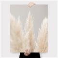 Picture of Creamy Petal Pampas II _GroupedProduct_Rectangle_Portrait_Photography _GroupedProduct_Rectangle_Portrait_Canvas_