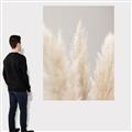Picture of Creamy Petal Pampas II _GroupedProduct_Rectangle_Portrait_Photography _GroupedProduct_Rectangle_Portrait_Canvas_