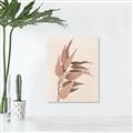 Picture of Dried Eucalyptus Blossom _GroupedProduct_Rectangle_Portrait_Photography _GroupedProduct_Rectangle_Portrait_Canvas_
