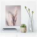 Picture of Enchanted Pampas Grass _GroupedProduct_Rectangle_Portrait_Photography _GroupedProduct_Rectangle_Portrait_Canvas_