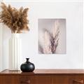 Picture of Enchanted Pampas Grass _GroupedProduct_Rectangle_Portrait_Photography _GroupedProduct_Rectangle_Portrait_Canvas_