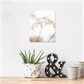 Picture of Desert Bloom Elegance _GroupedProduct_Rectangle_Portrait_Photography _GroupedProduct_Rectangle_Portrait_Canvas_