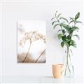 Picture of Desert Bloom Elegance _GroupedProduct_Rectangle_Portrait_Photography _GroupedProduct_Rectangle_Portrait_Canvas_