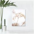 Picture of Desert Bloom Elegance _GroupedProduct_Rectangle_Portrait_Photography _GroupedProduct_Rectangle_Portrait_Canvas_