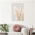 Picture of Creamy Petal Pampas I _GroupedProduct_Rectangle_Portrait_Photography _GroupedProduct_Rectangle_Portrait_Canvas_