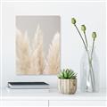 Picture of Creamy Petal Pampas II _GroupedProduct_Rectangle_Portrait_Photography _GroupedProduct_Rectangle_Portrait_Canvas_