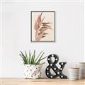Picture of Dried Eucalyptus Blossom _GroupedProduct_Rectangle_Portrait_Photography _GroupedProduct_Rectangle_Portrait_Canvas_Framed_